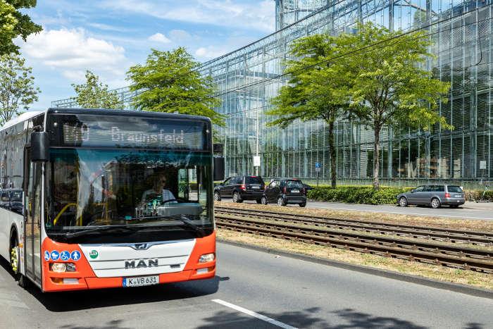 Diesel-Bus auf der Amsterdamer Strae