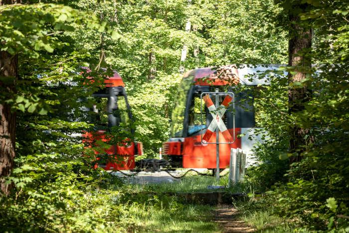 Hochflurstadtbahn im Grnen